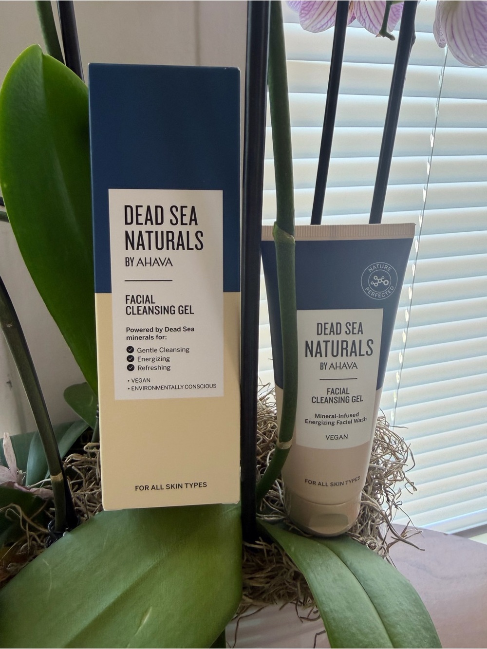 AHAVA Multivitamin Facial Oil - Cream & Green Accents